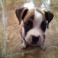no, no, te dije que no pongas esa mirada!..... esta bien vamos jugar :D